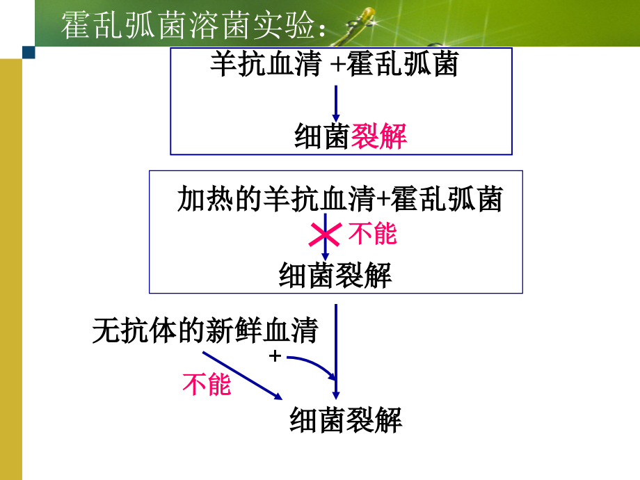 补体系统-免疫学_第4页