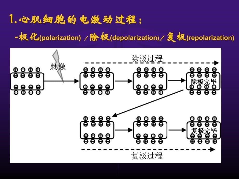 心电图检查和异常心电图图形的识别_第5页