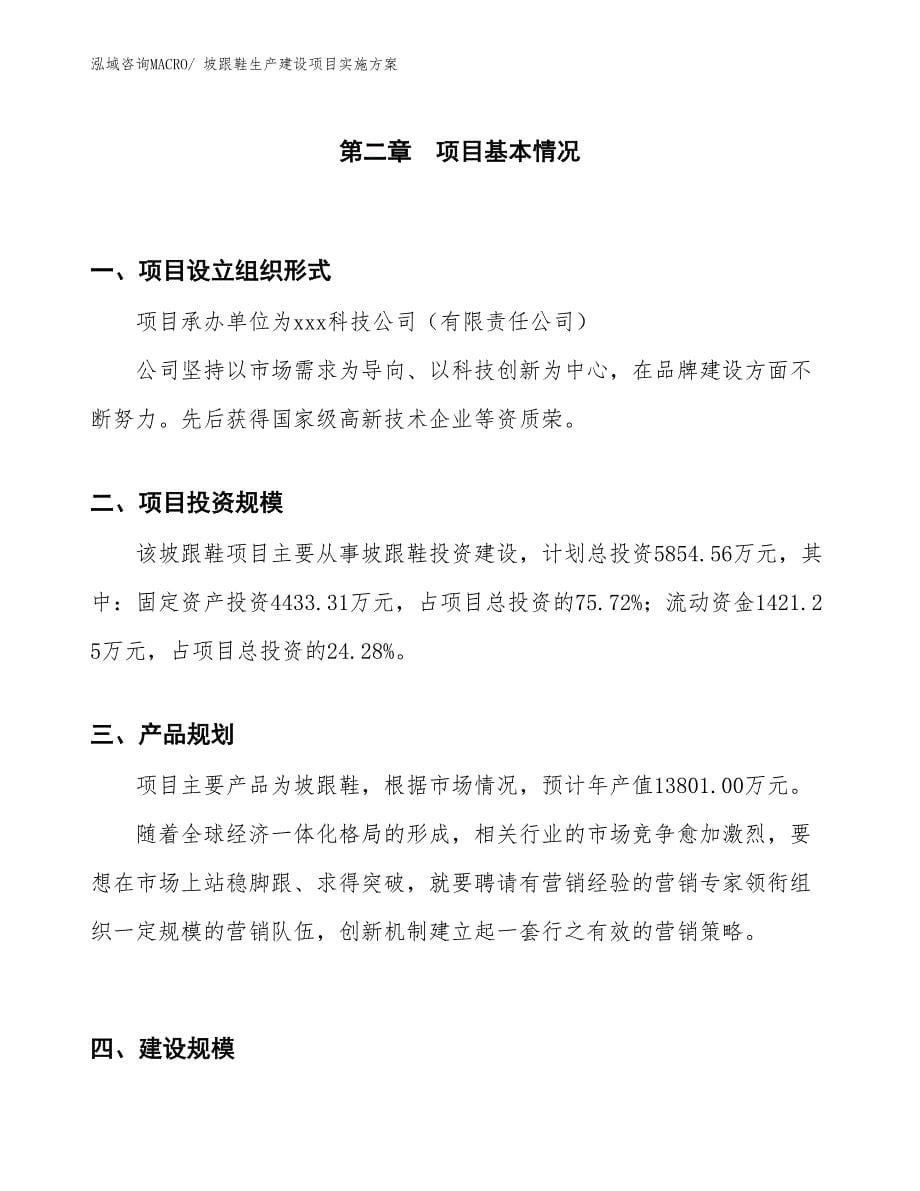 坡跟鞋生产建设项目实施方案(总投资5854.56万元)_第5页