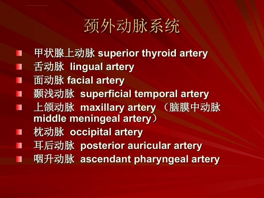 脑血管解剖(脑动脉系)课件_第5页