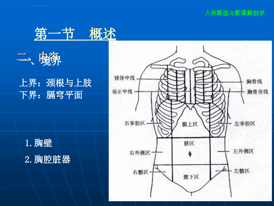 断层解剖学--胸部_第3页