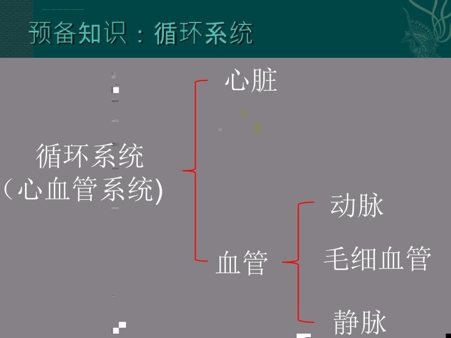 老年循环系统疾病患者的护理课件_第5页