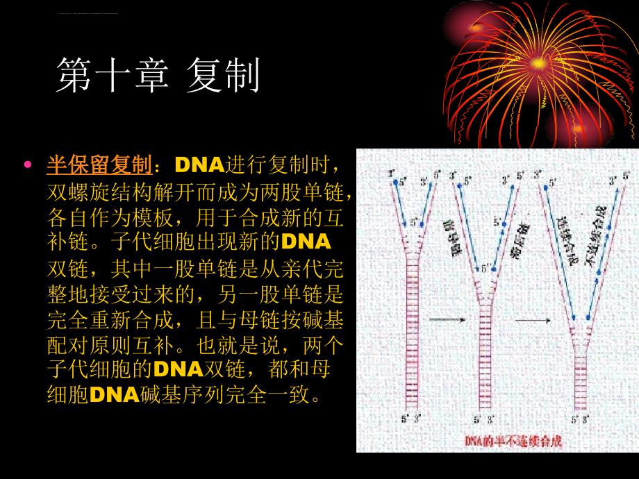 复旦大学生化幻灯片dna的生物合成_第4页