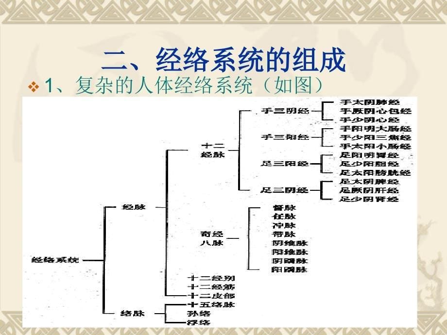 经络的基础知识课件_第5页