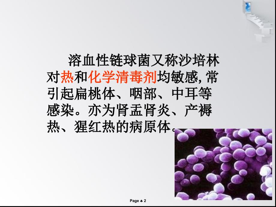 溶血性链球菌课件_第2页