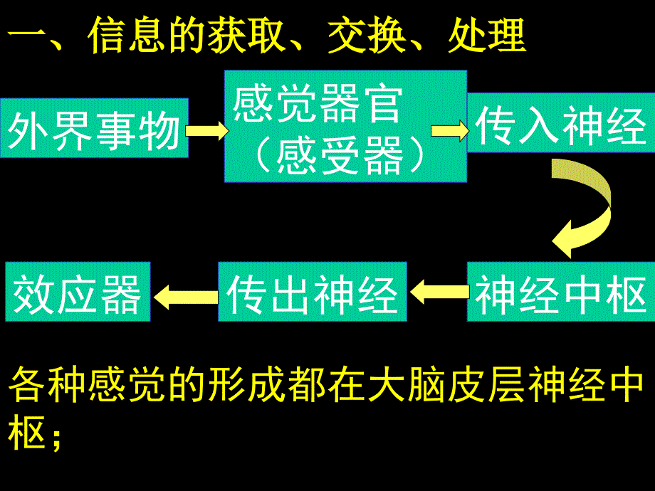 初中科学七年级《感觉与声音》复习课ppt多媒体课件_第2页