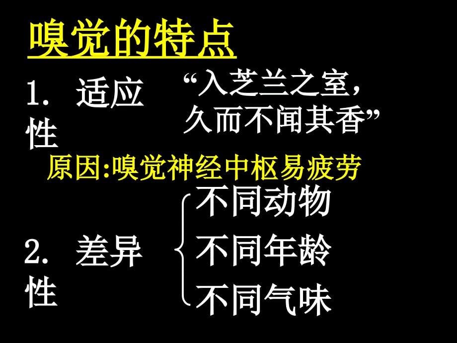 初中科学七年级《感觉与声音》复习课ppt多媒体课件_第5页