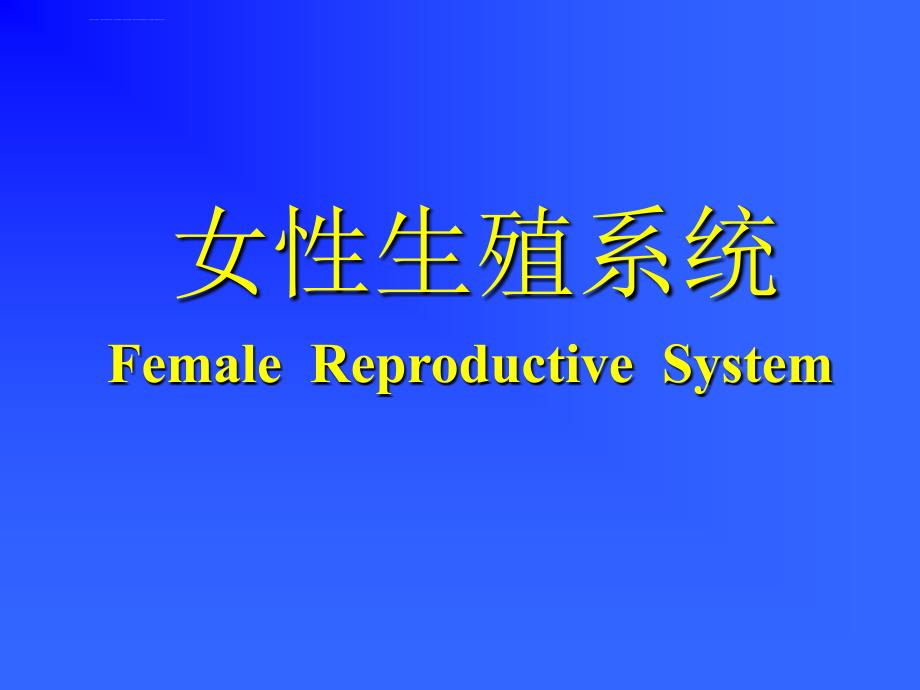 组织胚胎学课件组织胚胎学课件6-女性生殖系统_第1页