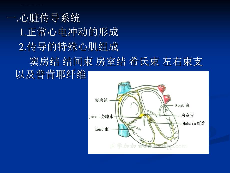 心电图的判读课件_第2页