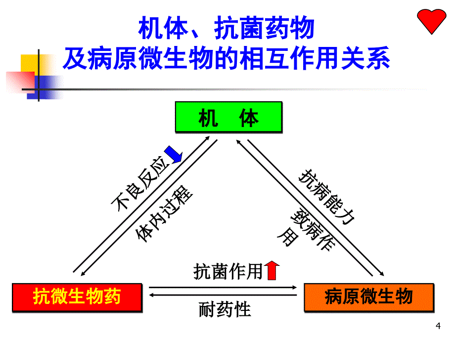 药理学第三十六章-抗菌药物概论_第4页