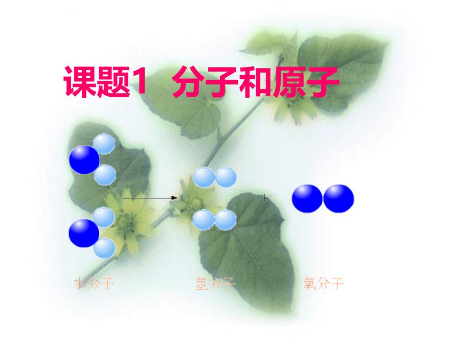 分子和原子（共70张ppt课件）_第2页