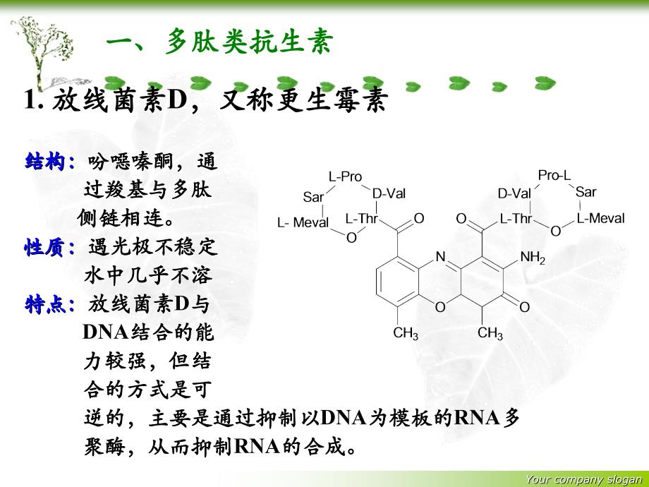 药物化学课件-抗肿瘤抗生素课件_第3页