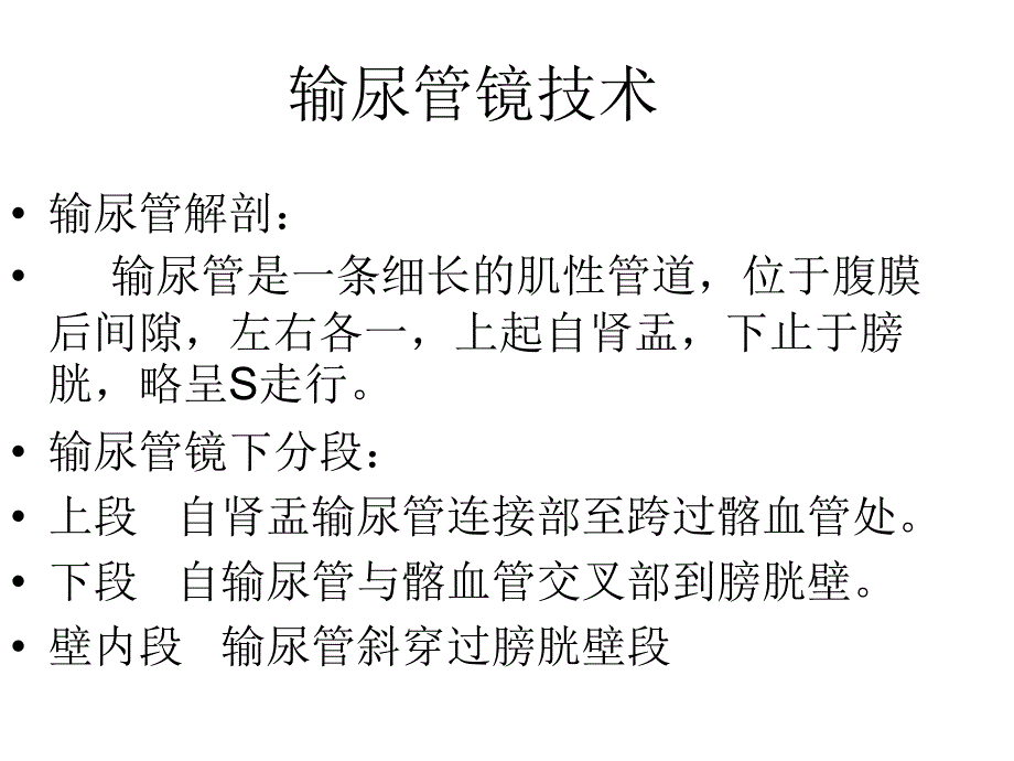 泌尿腔镜技术及其课件_第3页