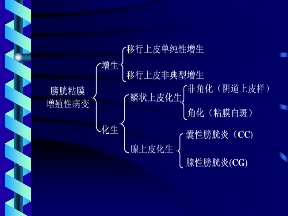 增殖性膀胱炎诊治课件_第2页