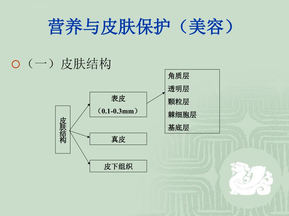 营养与皮肤的关系课件_第2页