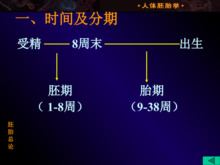 人体胚胎学总论课件_第4页