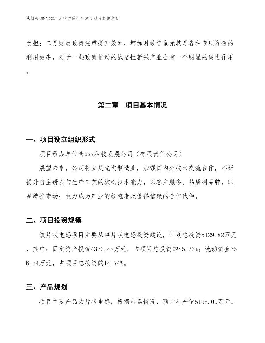 片状电感生产建设项目实施方案(总投资5129.82万元)_第5页