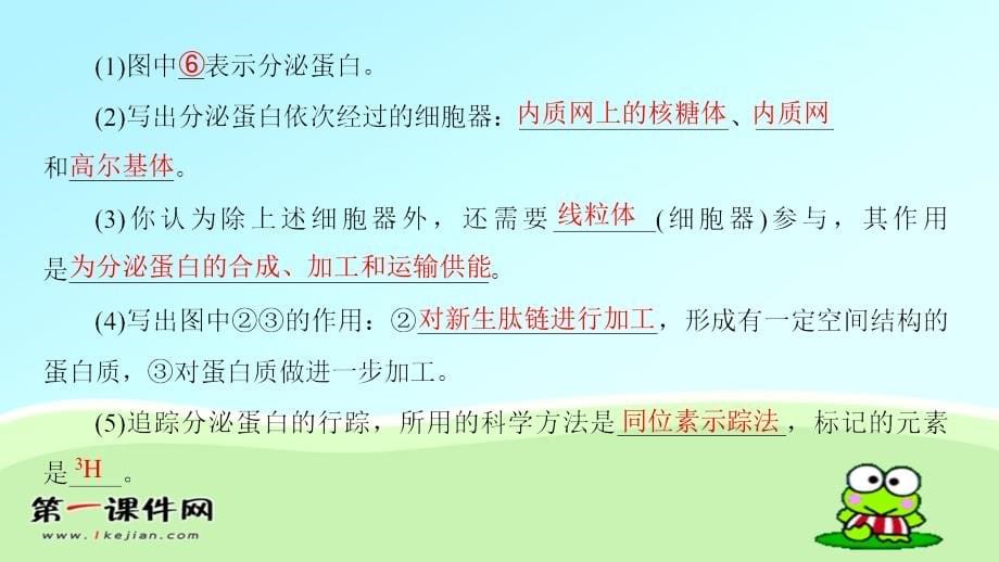 　蛋白质的合成与运输_第5页