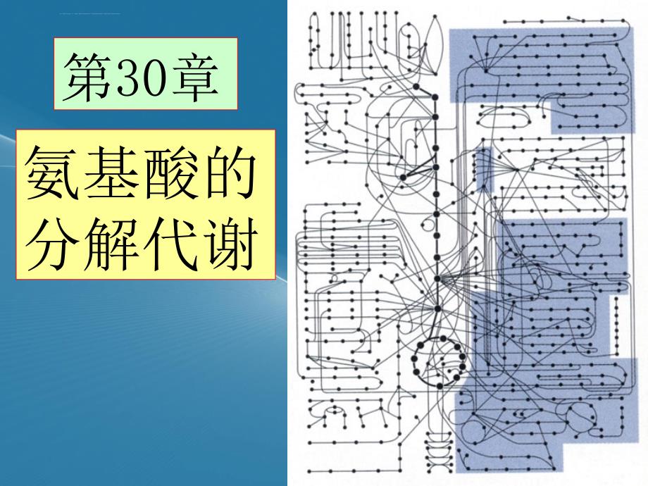 王镜岩-生物化学-经典幻灯片-氨基酸分解_第1页