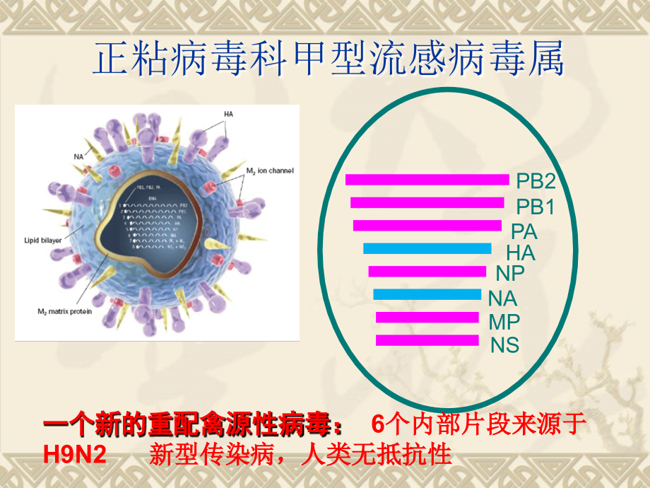最新版2013年四月人感染h7n9禽流感治疗课件_第4页