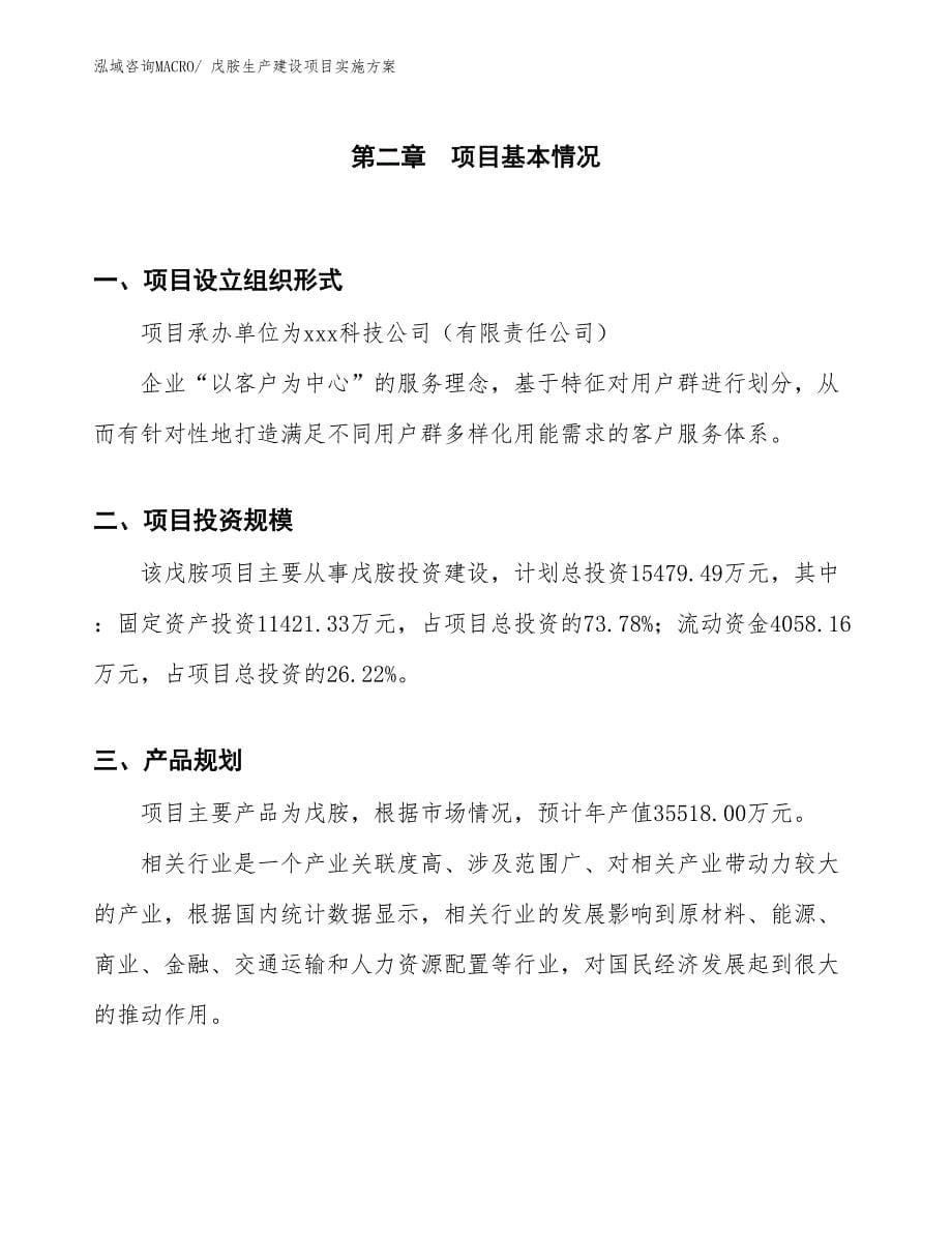 戊胺生产建设项目实施方案(总投资15479.49万元)_第5页