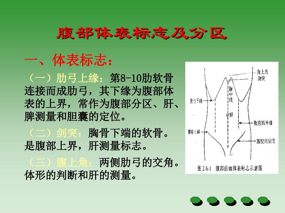 腹部检查(上课用)_第2页