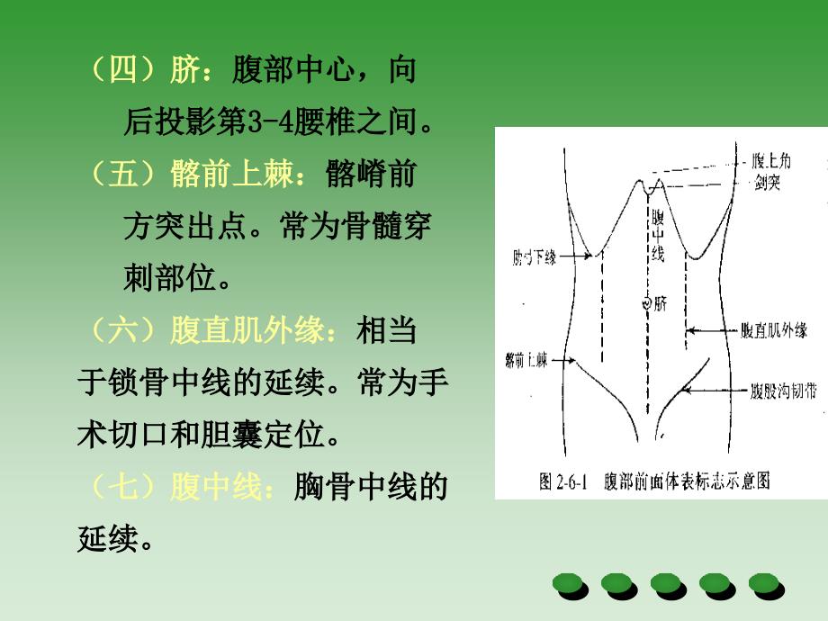 腹部检查(上课用)_第3页