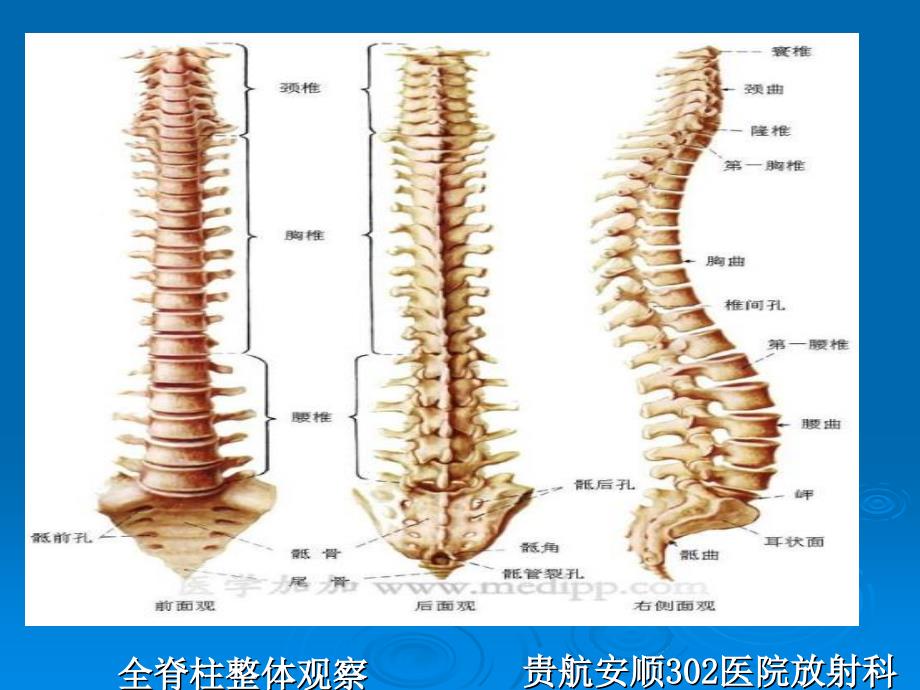 腰椎x检查摄影技术-2_第3页