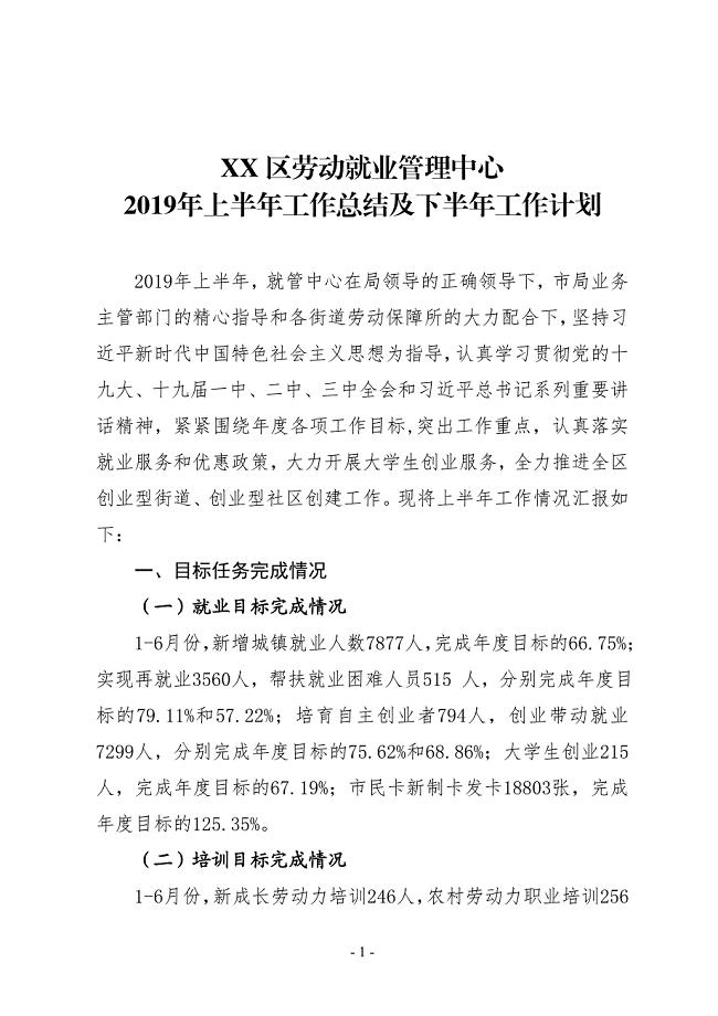 XX区劳动就业管理中心2019年上半年工作总结及下半年工作计划