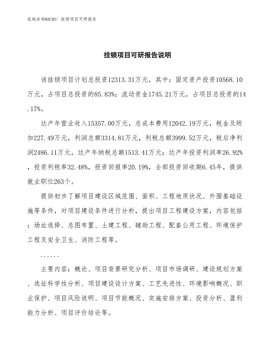 挂锁项目可研报告_第2页