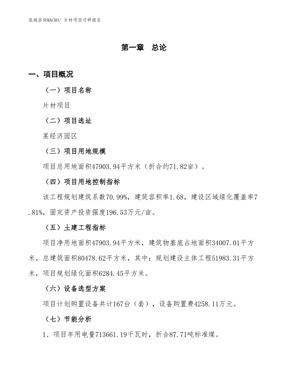 片材项目可研报告_第4页