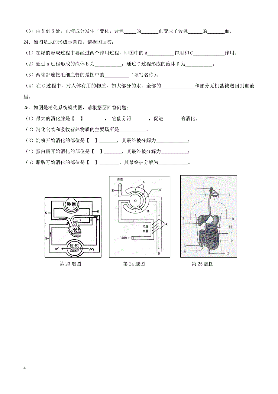 河南省新乡市2017_2018学年七年级生物下学期期末试题新人教版（附答案）_第4页