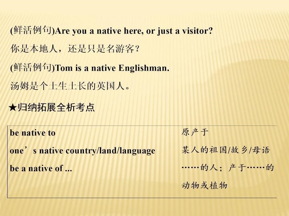 2018-2019版英语新学案同步人教必修一全国通用版课件：Unit+2+Section+Ⅱ　Warming+Up +Reading+—+Languag_第5页