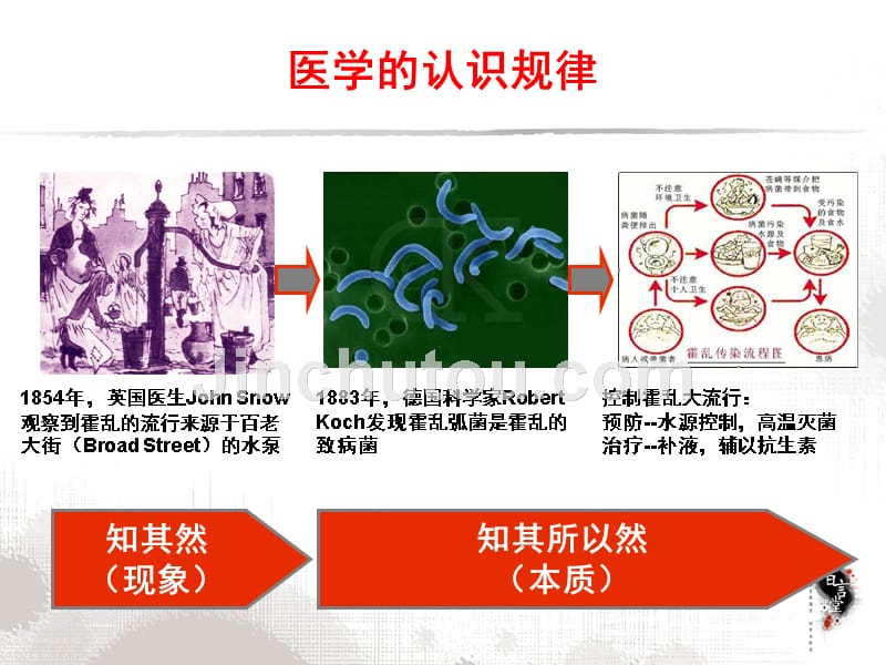 [所有分类]幻灯1从胆固醇管理的发展史观其本质_第2页