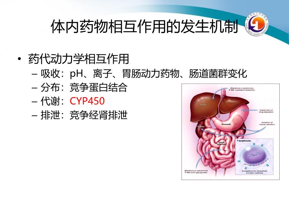 临床主要抗感染药物与其他药物的相互作用-文档资料_第4页