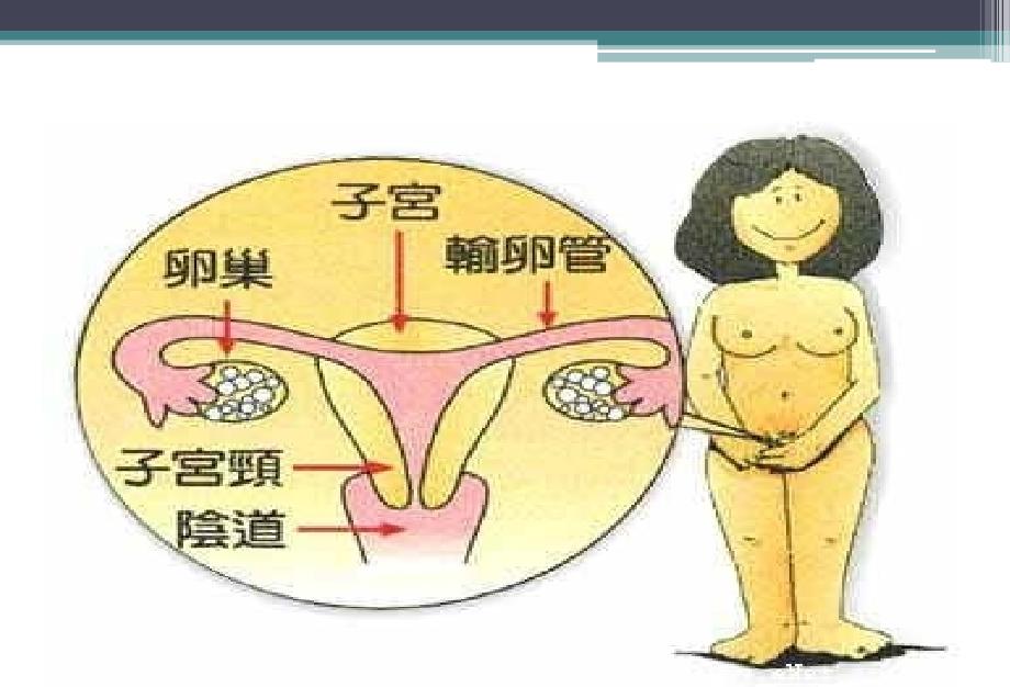 主题班会初中女生生理卫生讲座ppt课件_第3页