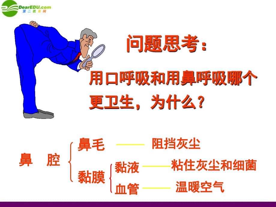 七年级生物下册第一节---呼吸道对空气的处理课件_第5页