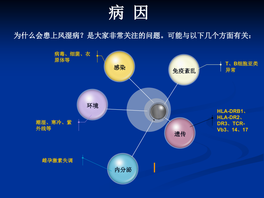 下乡风湿病课件_第3页