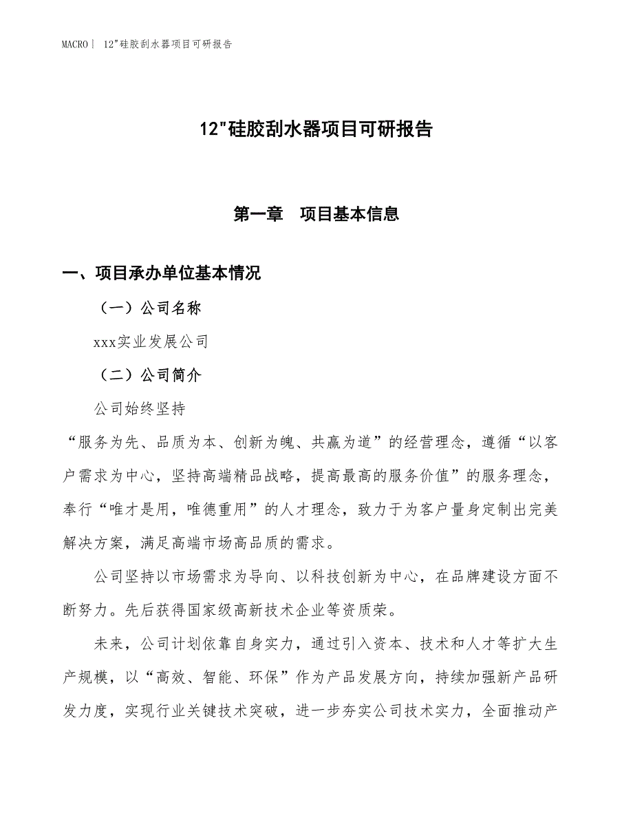 12_硅胶刮水器项目可研报告_第1页