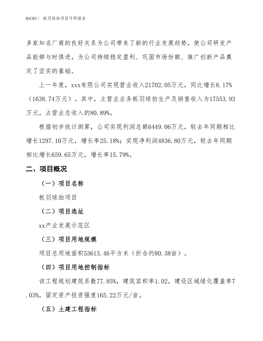 板羽球拍项目可研报告_第2页