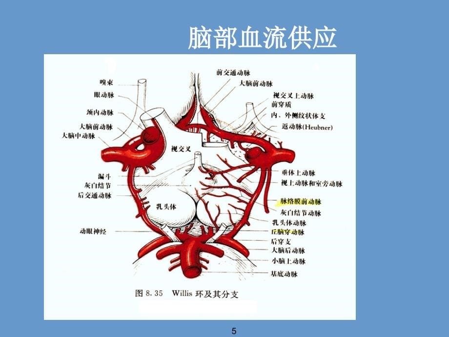 [医药卫生]脑中风解读_第5页