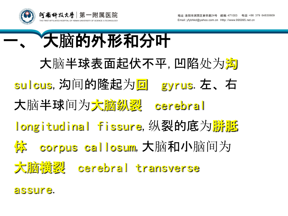 中枢神经系统解剖-端脑1报告_第3页