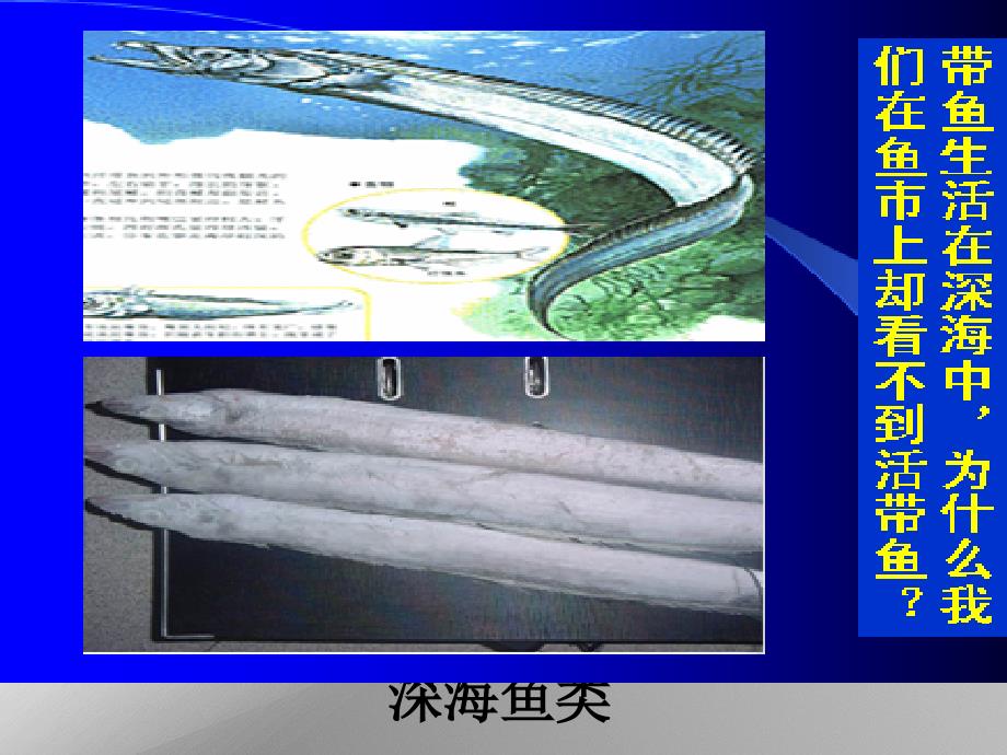 九年级物理第十四章第二节液体的压强课件人教新课标版_第4页