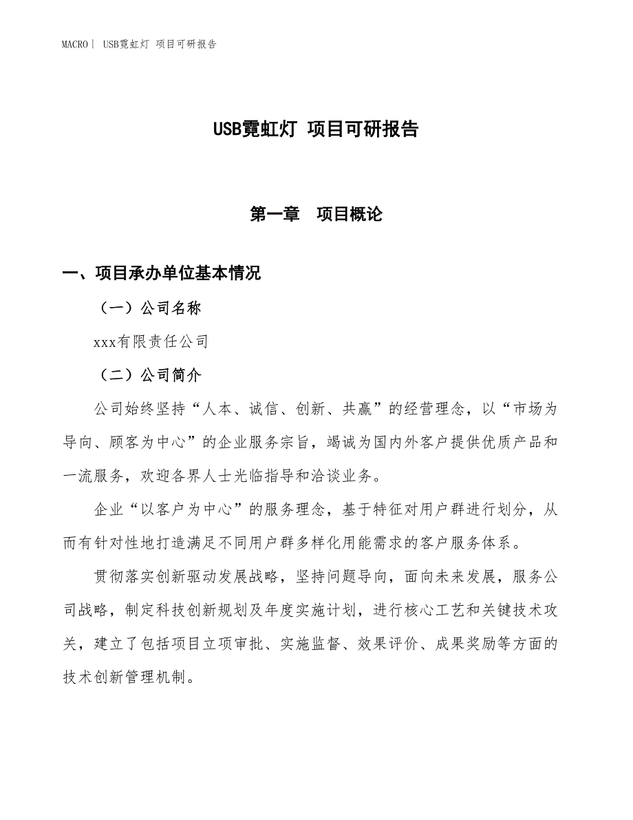 USB霓虹灯 项目可研报告_第1页