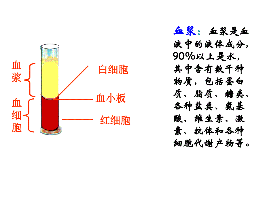 《人体的内环境与稳态》ppt课件_第4页