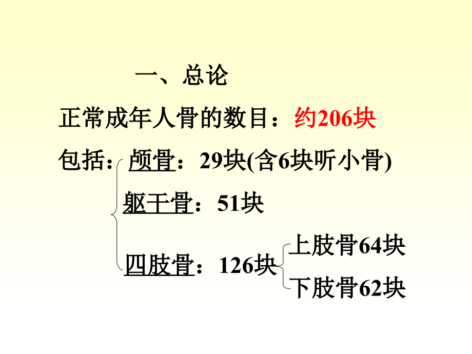 《人体解剖学》运动系统-骨与骨连接ppt课件-文档资料_第2页