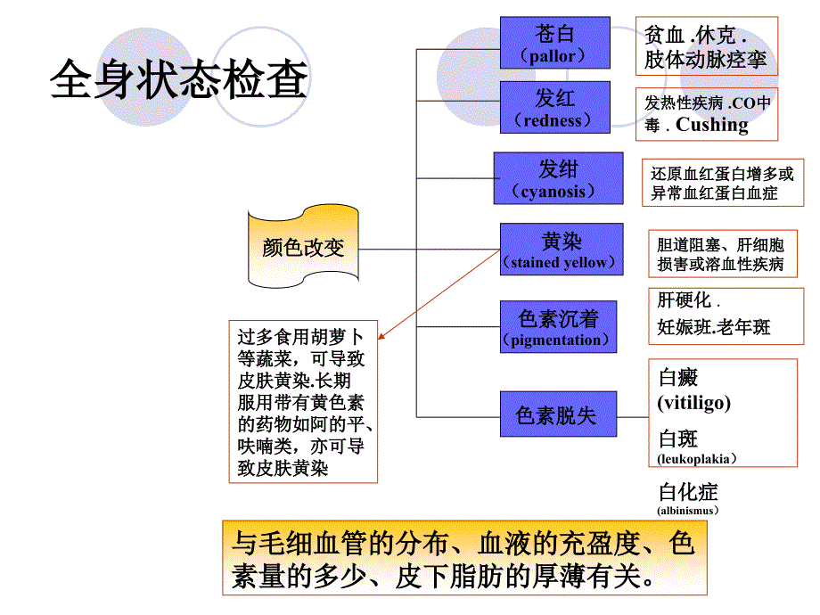 一般检查皮肤分解_第3页