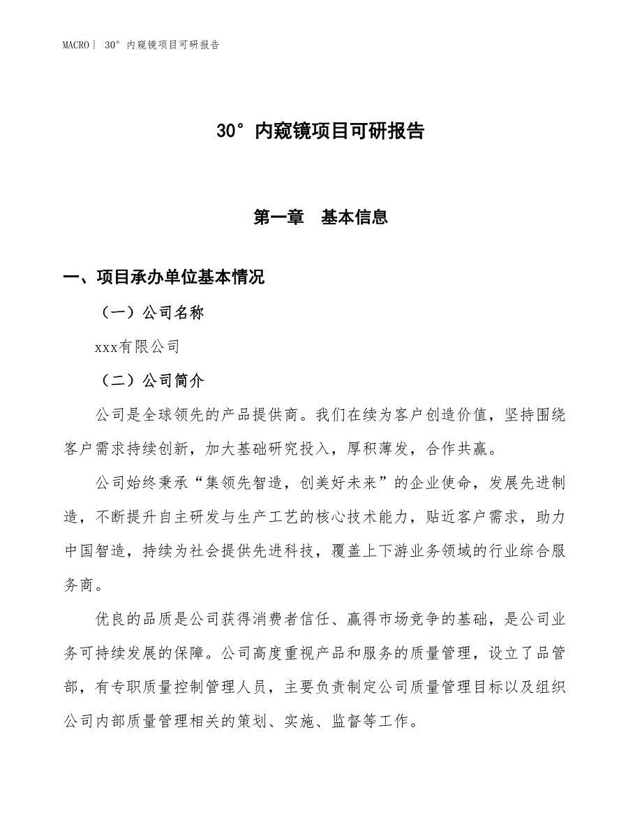 30°内窥镜项目可研报告_第1页