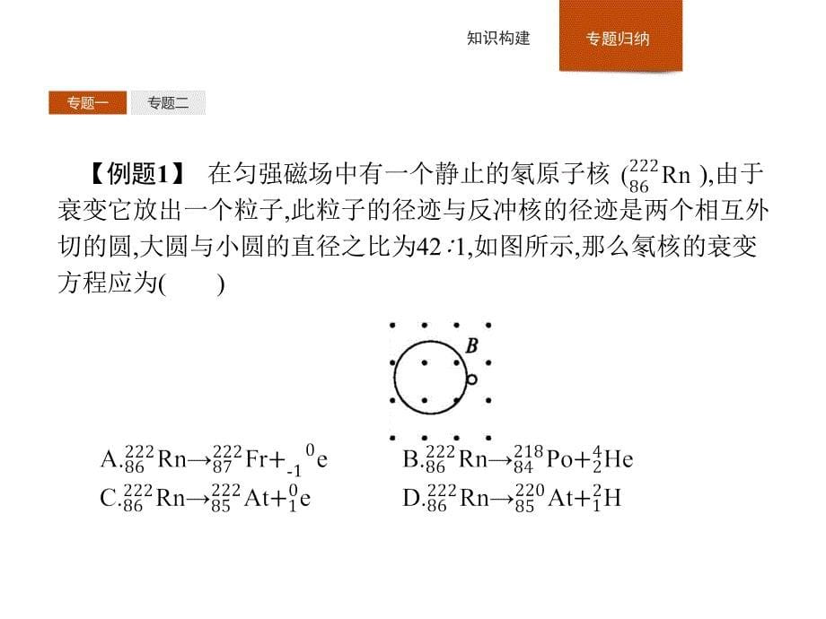 《原子核》ppt课件_第5页