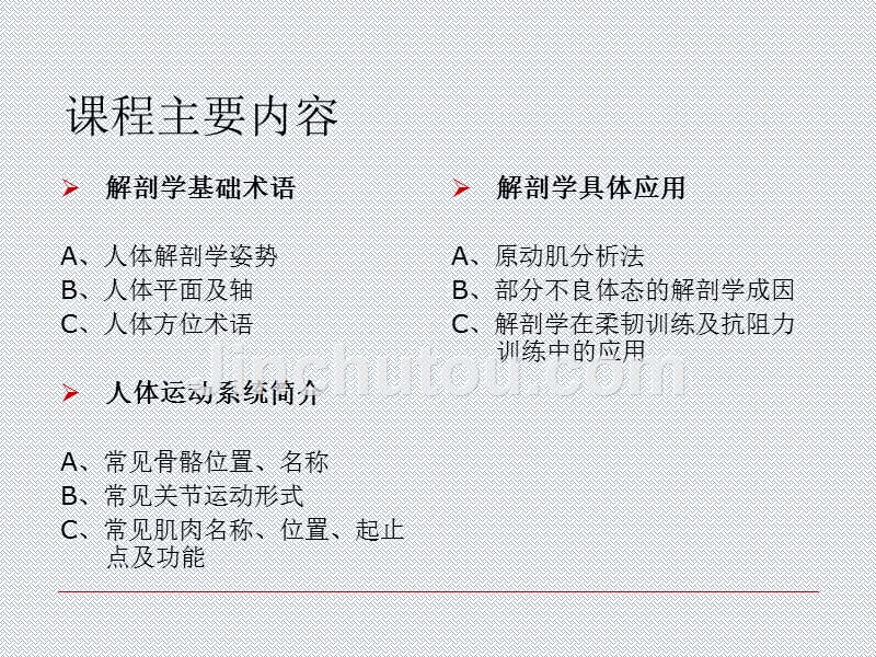 标准基础解剖学i_第3页